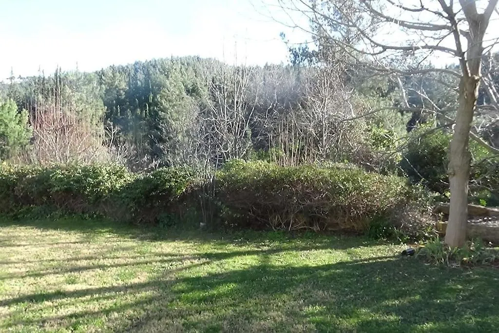 Κατοικία Με Θέα Στο Δάσος Villa Thessaloniki