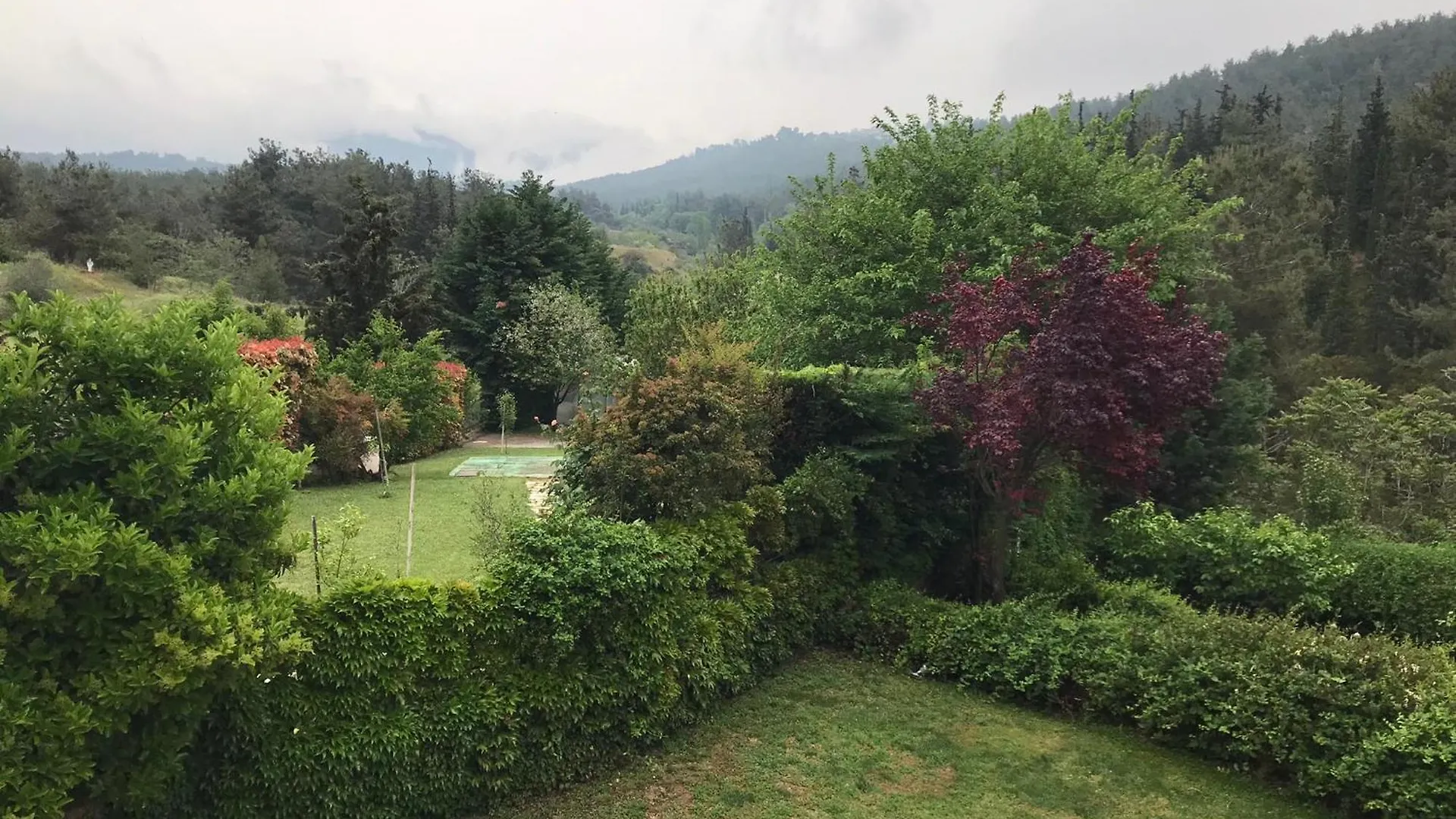 Κατοικία Με Θέα Στο Δάσος Villa Thessaloniki