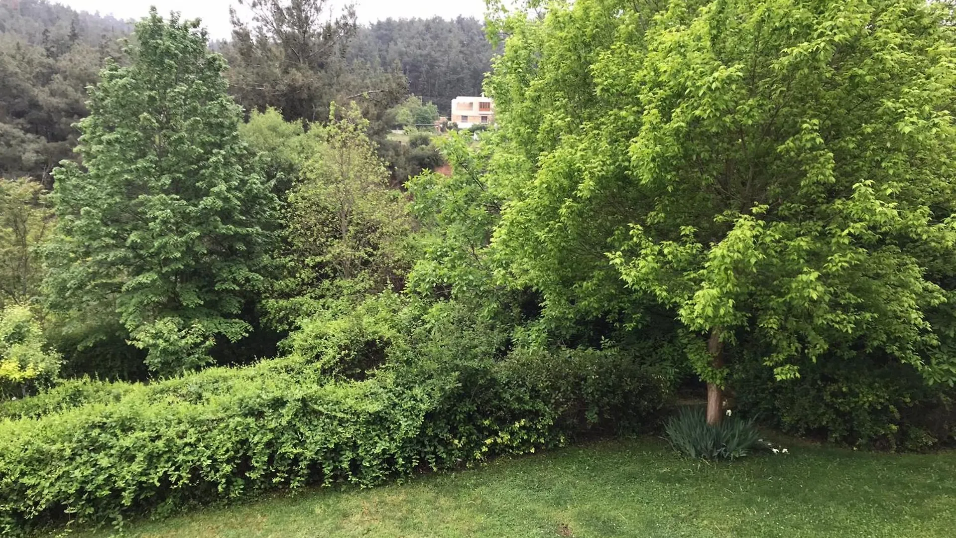 Κατοικία Με Θέα Στο Δάσος Villa Thessaloniki